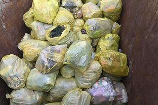 Śmieci zalewają Otwock. Firma zrezygnowała z dnia na dzień 