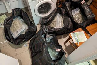 Policja zlikwidowała magazyn narkotyków w Wawrze. Zaopatrywali się tam dilerzy z Brzeskiej