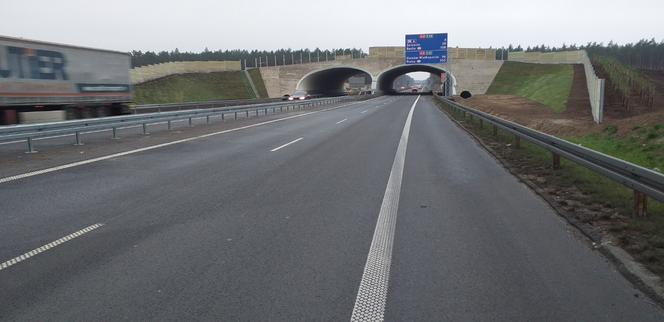 Nowa nawierzchnia i przejście dla zwierząt