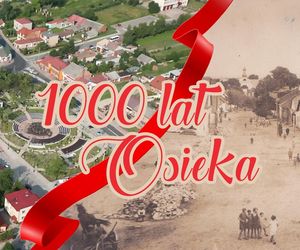 Gmina Osiek
