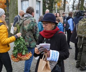 Wszystkich Świętych 2024. Powązki - kwesta