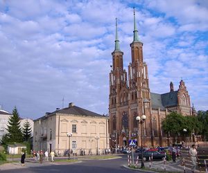 Katedra Niepokalanego Poczęcia Najświętszej Maryi Panny w Siedlcach