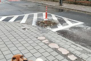 Burza wokół zmiany organizacji ruchu na Zatorzu. Kierowcy byli zaskoczeni, miasto wyjaśnia