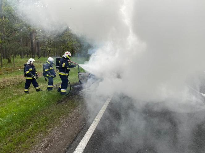 Kujawsko-pomorskie: Pożar samochodu na DK 10. Pojazd słonął doszczętnie! [ZDJĘCIA] 