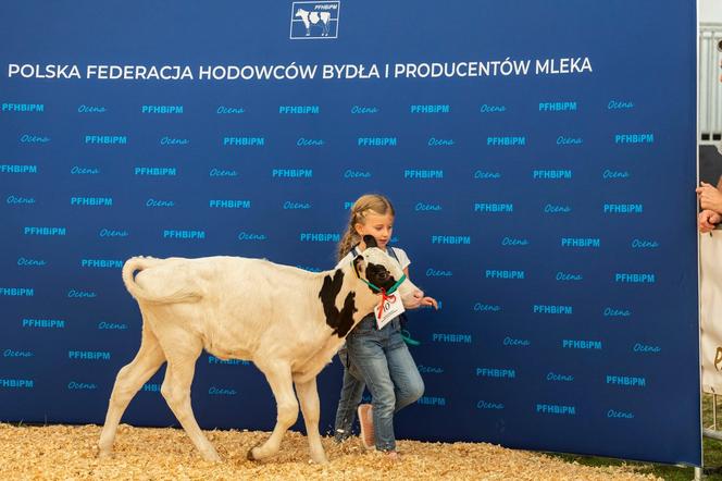 Jesienne Targi Rolnicze w Gryźlinach 2024. Wydarzenie przyciągnęło tłumy. Zobacz zdjęcia