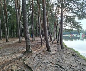 Spokojne wrześniowe popołudnie nad Jeziorem Bialskim w Białce