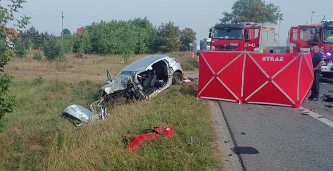 : Mama zginęła w wypadku, dziecko z urazem głowy trafiło do szpitala. Tragiczny finał brawurowej jazdy na trasie do Warszawy