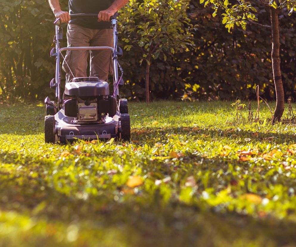 ostatnie koszenie trawy