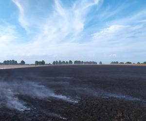 Dwa pożary zboża oraz rżyska w powiecie braniewskim