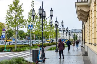 Sadzenie zieleni na placu Bankowym w maju 2025 r.