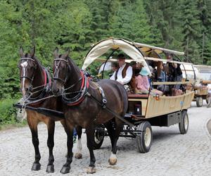 Jest kompromis ws. transportu nad Morskie Oko. Konie dalej będą wozić turystów