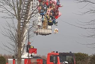 Ratowali... baloniki! Niecodzienna akcja strażaków spod Sławna