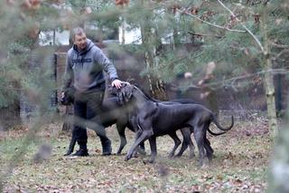 Obajtek miał zlecić na niego detektywa. Teraz zaprasza ich do domu!