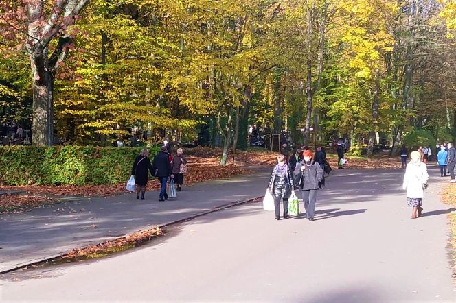 1 listopada na Cmentarzu Centralnym w Szczecinie