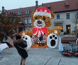 Wigilia pod gołym niebem w Starym Forodnie. Kolejka po pierogi i barszcz wiła się zakrętami po całym rynku! [ZDJĘCIA]