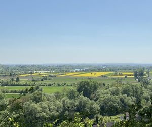 Ogrom wydarzeń w woj. lubelskim! Sprawdź, gdzie wybrać