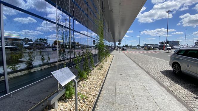 Zazieleniony teren parkingu i pasażu przed terminalami Katowice Airport