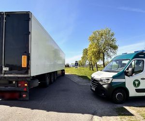 Siedlecka ITD wykryła nieudaną próbę ukrycia jazdy w podwójnej załodze
