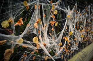 Dom jak z horroru w Gdańsku! W Halloween na Jaśkowej Dolinie naprawdę straszy [ZDJĘCIA]