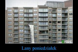 Lany Poniedziałek demotywatory