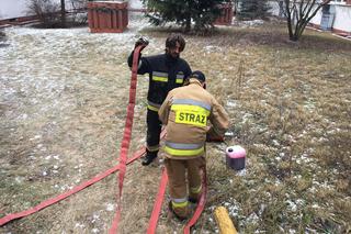 Alpiniści dla WOŚP w grudziądzki szpitalu
