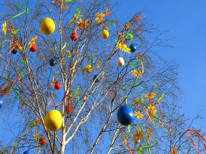 Wielkanocna dekoracja na drzewie