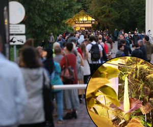 Warszawa czekała cztery lata. Do niezwykłego okazu ustawią się długie kolejki