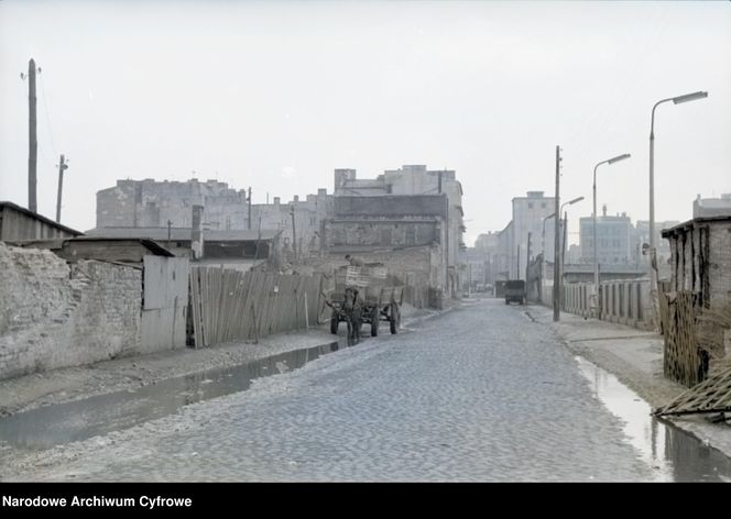 Browary Warszawskie, rok 1965