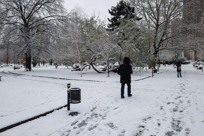 Śnieżny armagedon w Warszawie. Pierwszy atak zimy sparaliżował stolicę. Ogłoszono akcję ALFA