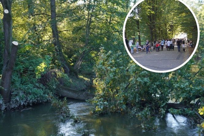 tłumy spokojnie spacerujących spacerowiczów w Pszczynie ZDJĘCIA