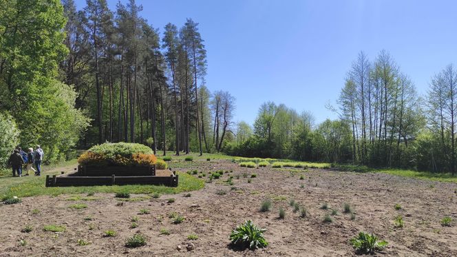 Arboretum w Kopnej Górze. Puszcza w pigułce