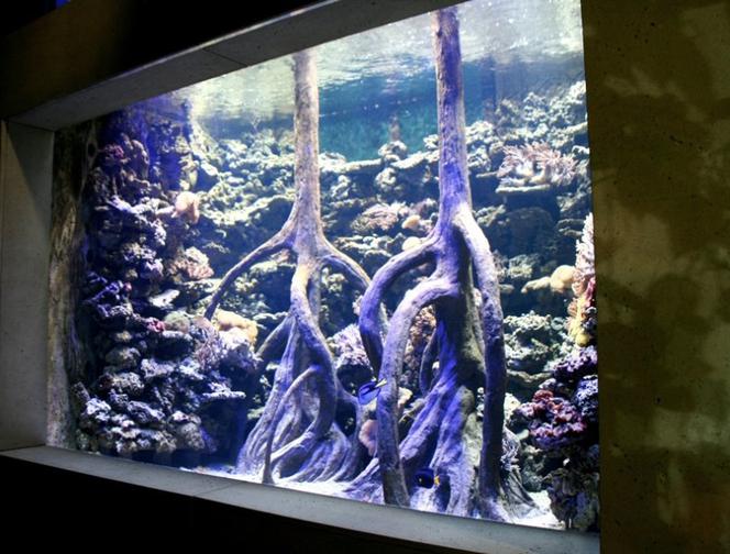 Rozbudowa ZOO