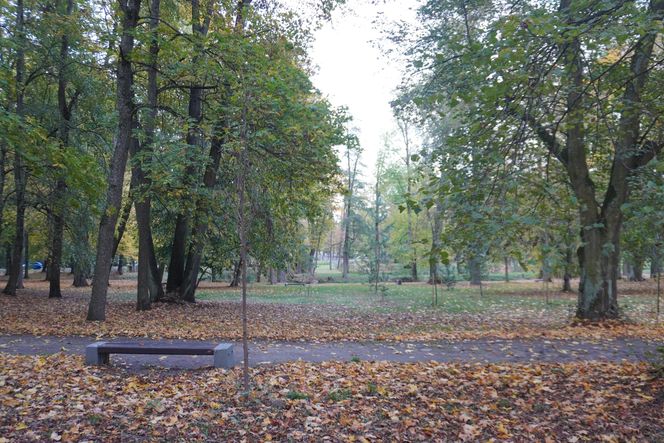 Park Lubomirskich w Białymstoku jesienią 