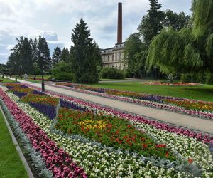 Cicho i pusto w Ciechocinku. Gdzie się podziali kuracjusze-utracjusze?