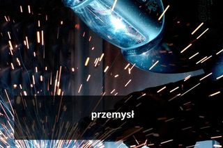 Różnice w zarobkach w Rzeszowie na tle Podkarpacia