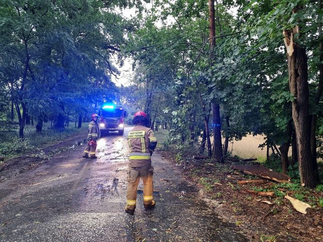 Tragiczne skutki nawałnicy na Kujawach i Pomorzu! Jednej osoba wciąż nie odnaleziono