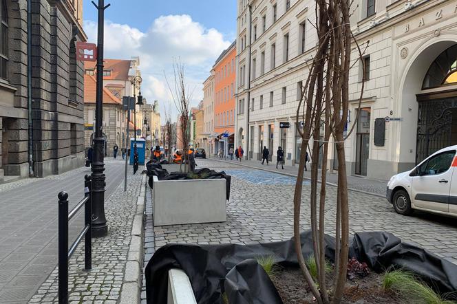 Na ulicach Paderewskiego i Wielkiej będzie bardziej zielono! [WIDEO]