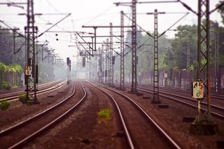 Dorohusk. Ktoś wysypał rzepak z Ukrainy. Policja sprawdza zgłoszenie