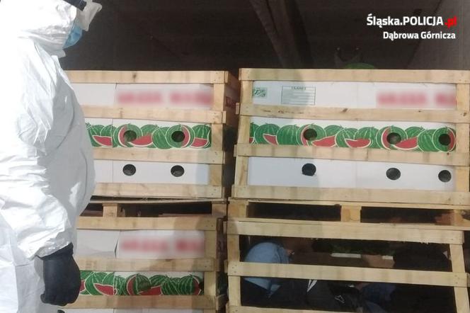 Policjanci znaleźli imigrantów między arbuzami