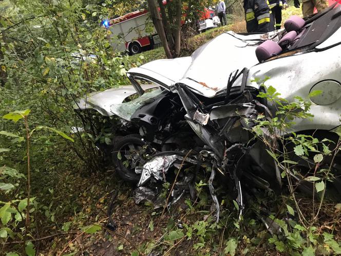 Łódzkie. Śmiertelny wypadek na DK74. Kierowca mazdy uderzył w drzewo