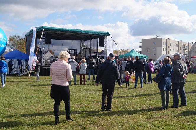 Piknik Wiejskiej Żywności, czyli radosne biesiadowanie w Fordonie [ZDJĘCIA] 