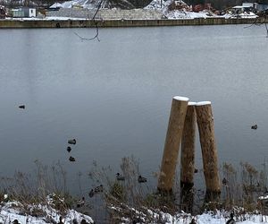 Park Żerański w Warszawie
