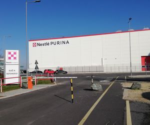 Gigant spożywczy zapowiada masowe zwolnienia. Pracę straci 16 tys. osób