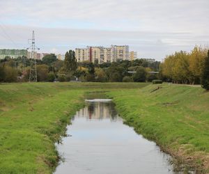 Jesienna odsłona terenów nad Bystrzycą w Lublinie. Tak się prezentuje w październiku