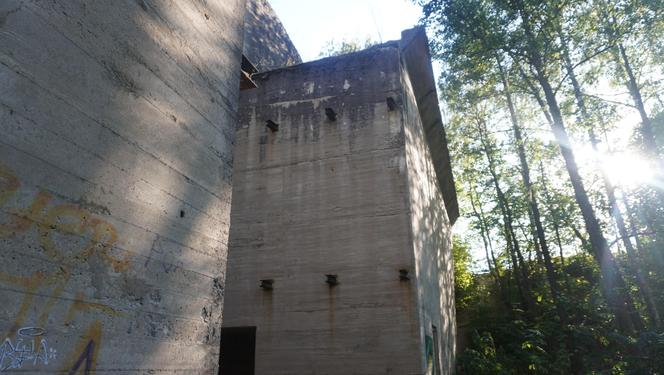 Monumentalna śluza Leśniewo z symbolami III Rzeszy ukryta w mazurskim lesie. Jest owiana tajemnicą [ZDJĘCIA]