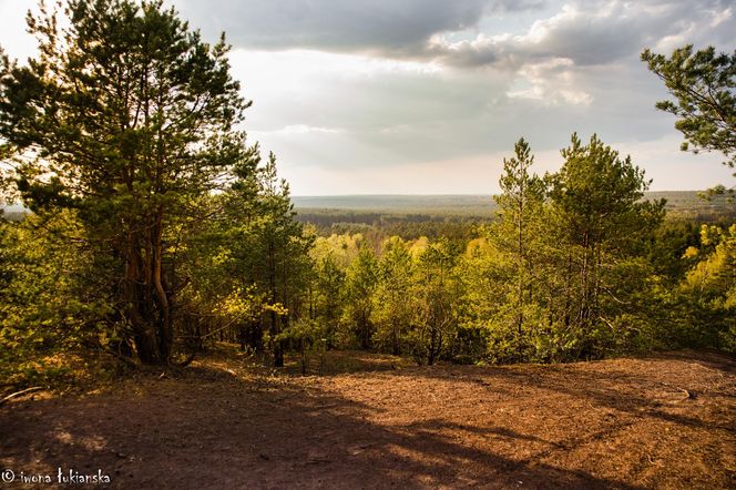 Czarniecka Góra - klimatyczna wieś w Świętokrzyskiem