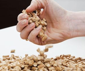 Pellet i brykiet drzewny tylko z certyfikatem! Jest zapowiedź wymagań jakościowych dla biopaliw