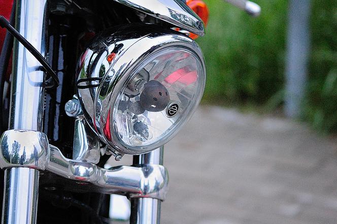 Harley-Davidson Sportster 1200 Custon CA