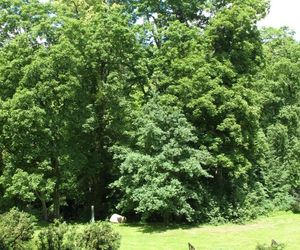 Ten pałac ma ponad 400 lat! Wyjątkowe miejsce na mapie woj. warmińsko-mazurskim