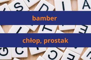 Słownik gwary poznańskiej - znasz najważniejsze słowa?